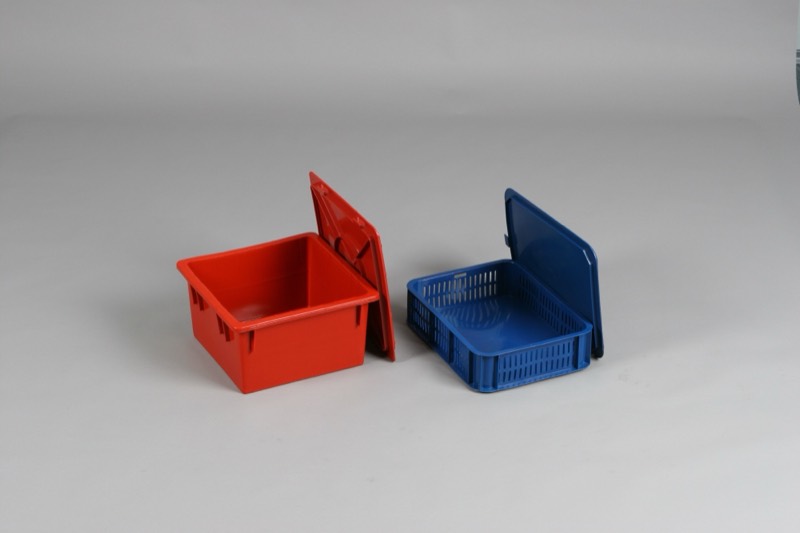 Red and blue thermoformed plastic boxes with hinged lids — Thermoforming